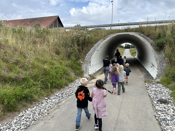 Børn med hinanden i hænderne går igennem den nye tunnel ved Veng Skole.